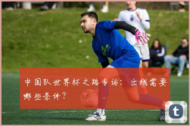 中国队世界杯之路专访:出线需要哪些条件?